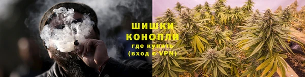 Альфа ПВП Белокуриха