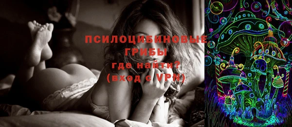 крисы Белоозёрский