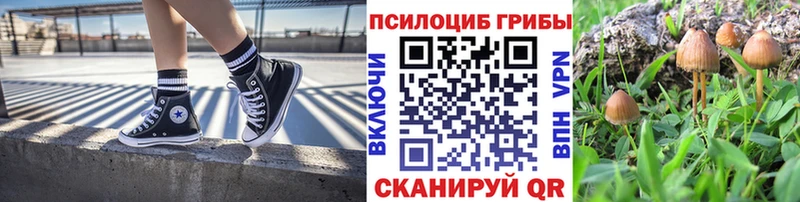 Галлюциногенные грибы ЛСД  Купить где  Дедовск 