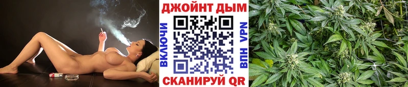 Купить закладки  Дедовск  Конопля план 